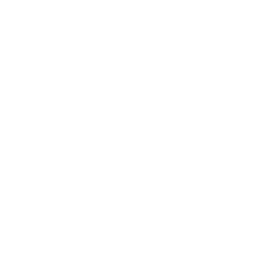 Regalo Sorpresa